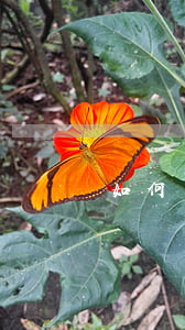 如何計(jì)算債務(wù)糾紛官司律師費(fèi)？詳細(xì)解析收費(fèi)標(biāo)準(zhǔn)